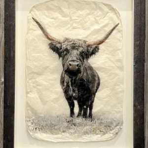 "Pepper" in Barnwood