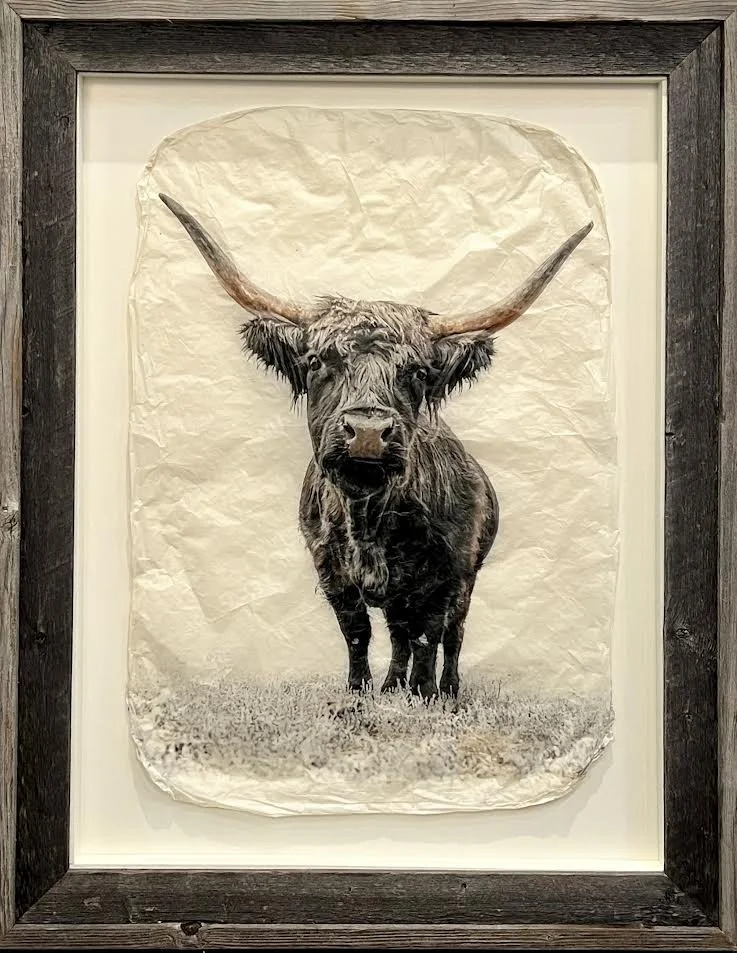 "Pepper" in Barnwood