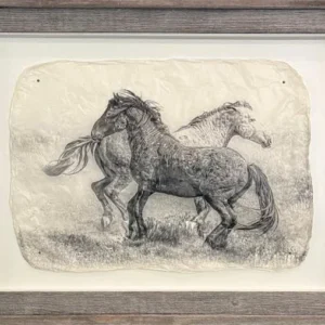 "The Dance" in Barnwood