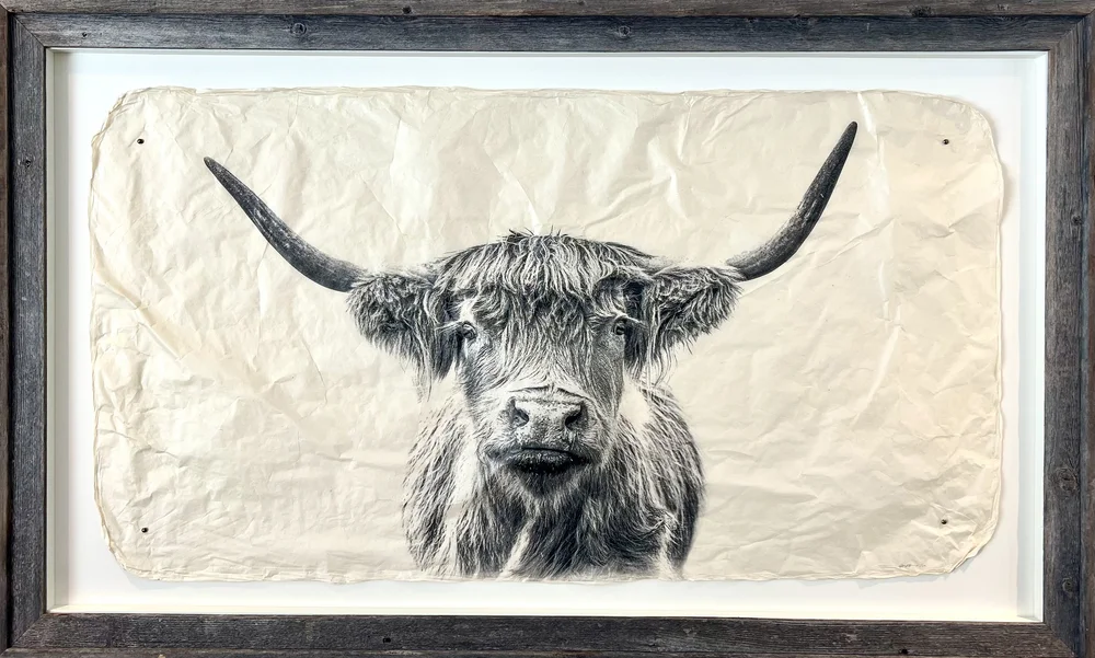 "Bonnie Coo" in Barnwood