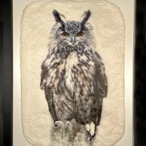 "Autumns Gaze" in Black