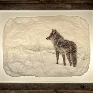 "Daydreamer" in Rustic Barnwood