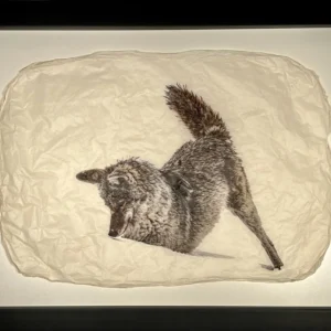 "Hide N Seek" in Black