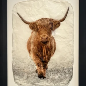 "Cinnamon" in Horizon Black