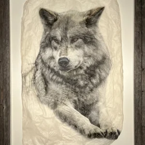 "Noble Gray" in Rustic Barnwood