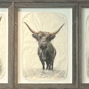 "The Spice Gurls" in Barnwood